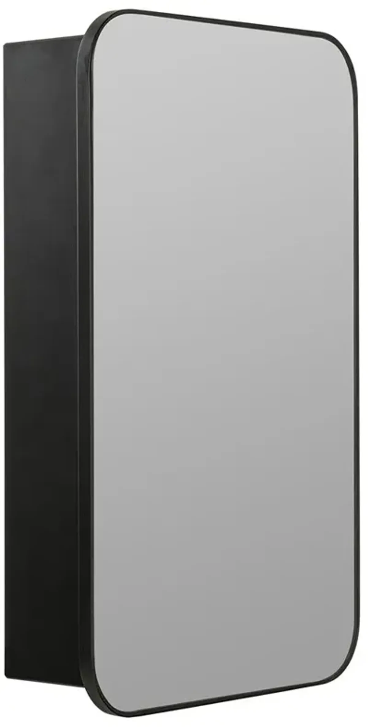 Hailey Modern Classic Black Medicine Cabinet Mirror