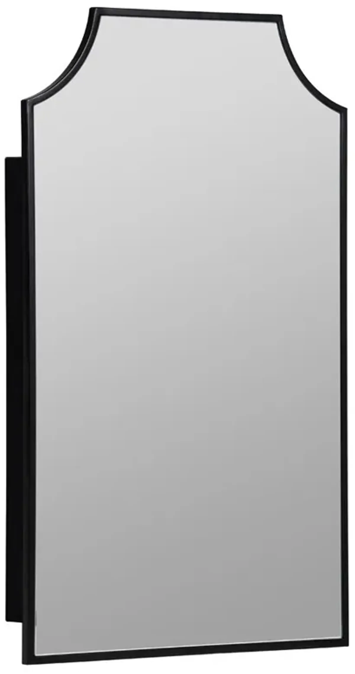 Serene Hollywood Regency Black Medicine Cabinet Mirror