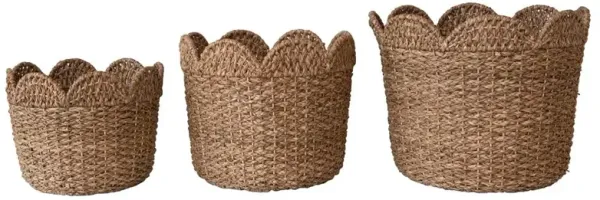 Cadmus Coastal Natural Rattan Scalloped Basket - Set of 3