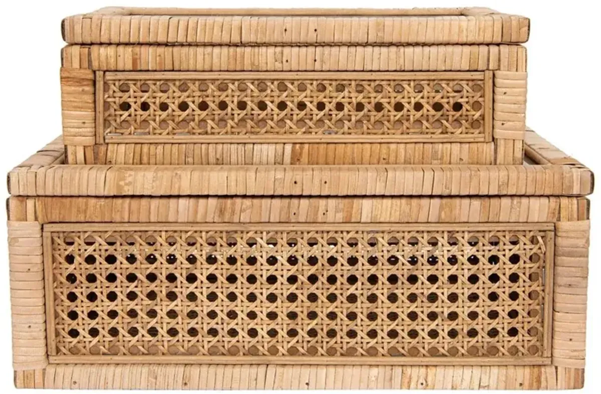 Niana Coastal Beach Natural Woven Rattan Rectangular Decorative Box - Set of 2