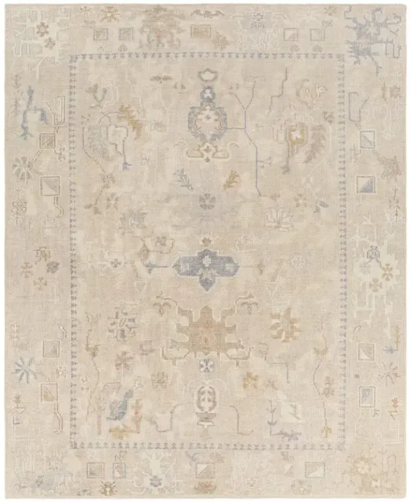Emory French Country Beige Oushak Patterned Hand Knotted Rug - 9'x12'