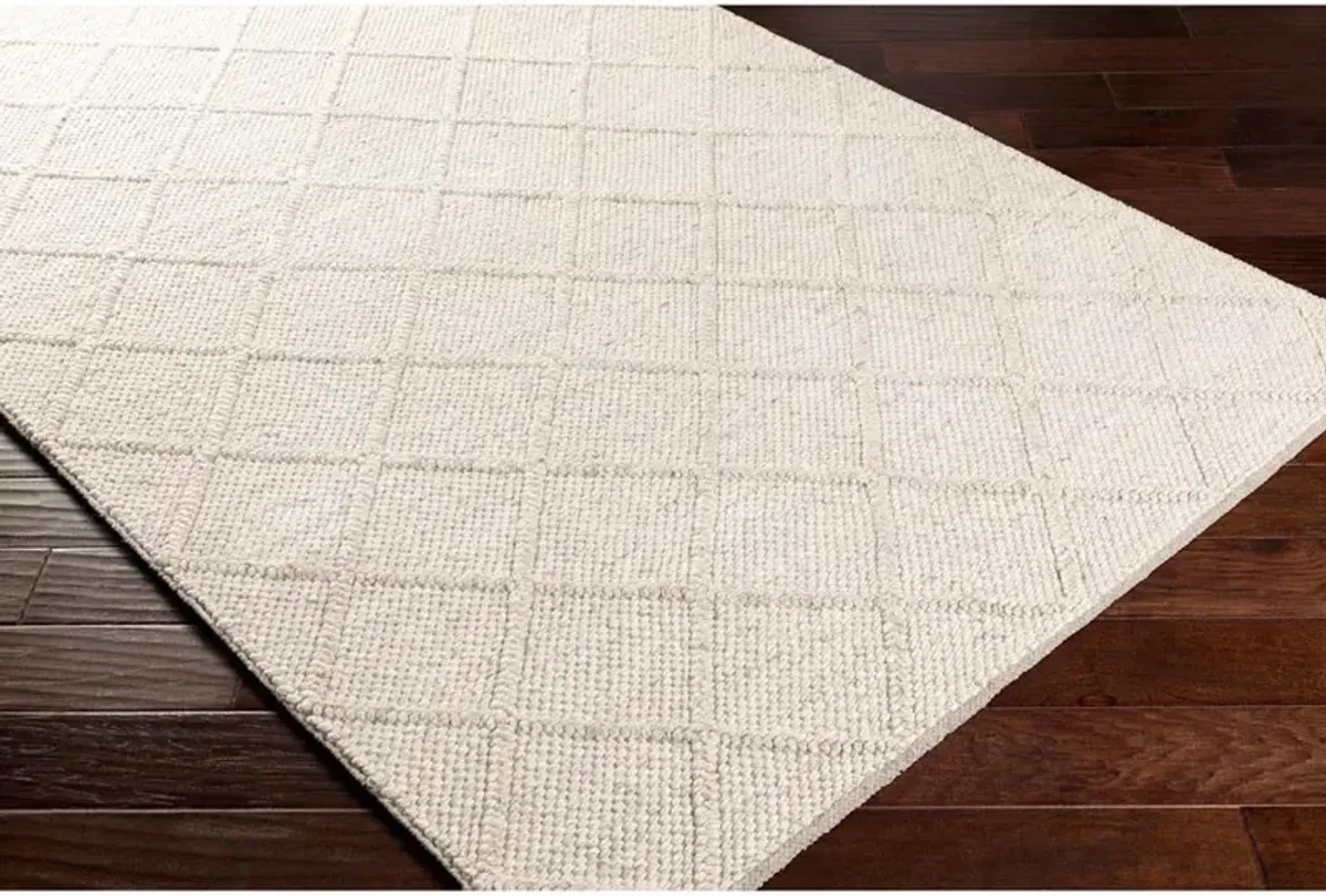 Paulette Modern Ivory Diamond Handwoven Solid Rug - 3'x5'