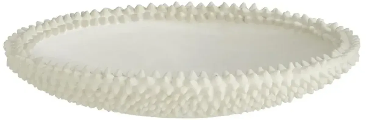 Grawler Coastal Beach Cream Terracotta Centerpiece