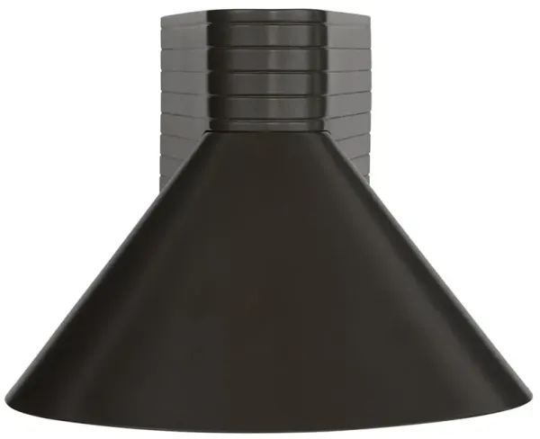 Chadwick Industrial Loft Aged Iron Shaded Outdoor Sconce