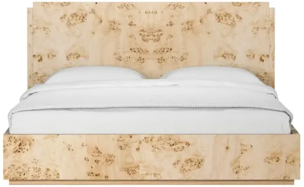 Briella Modern Classic Light Brown Burl Wood Bed - King