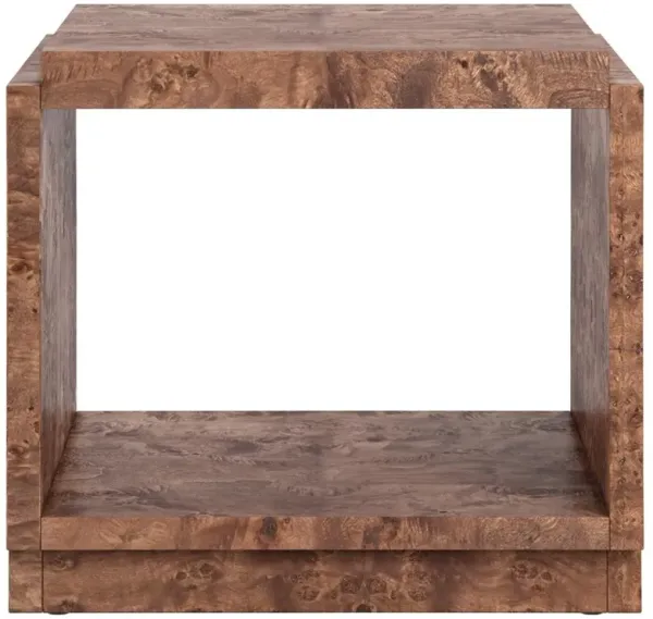 Briella Modern Classic Dark Brown Burl Wood Side Table