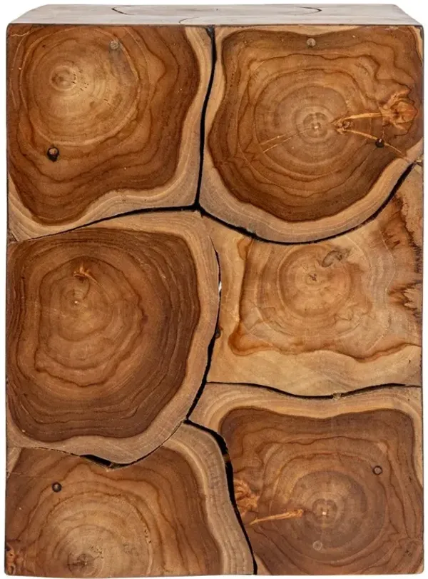 Micah Coastal Beach Teak Root Block End Table