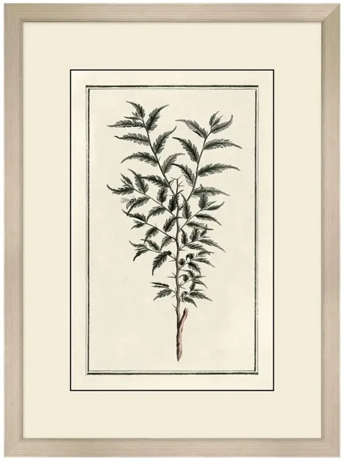 Gael Traditional Green Botanical Silver Frame Illustration 1 - 39x29