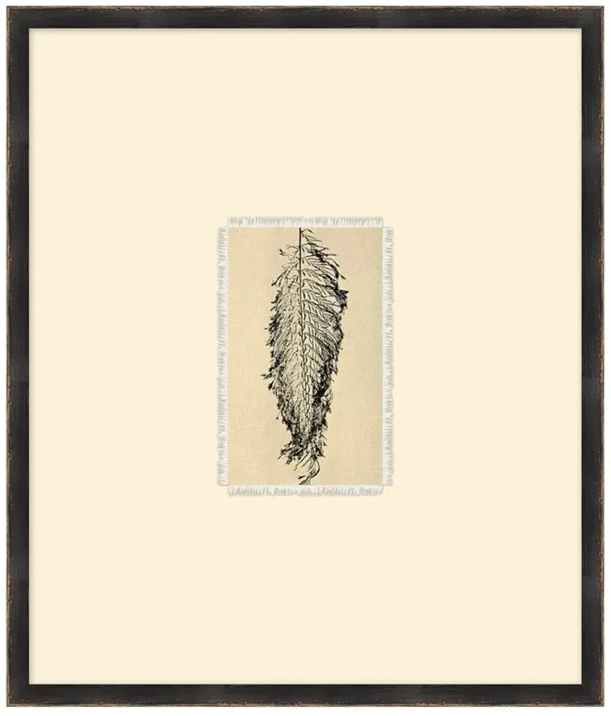 Mabel Traditional Black Fern Botanical Black Frame Ilustration 1 - 28x24