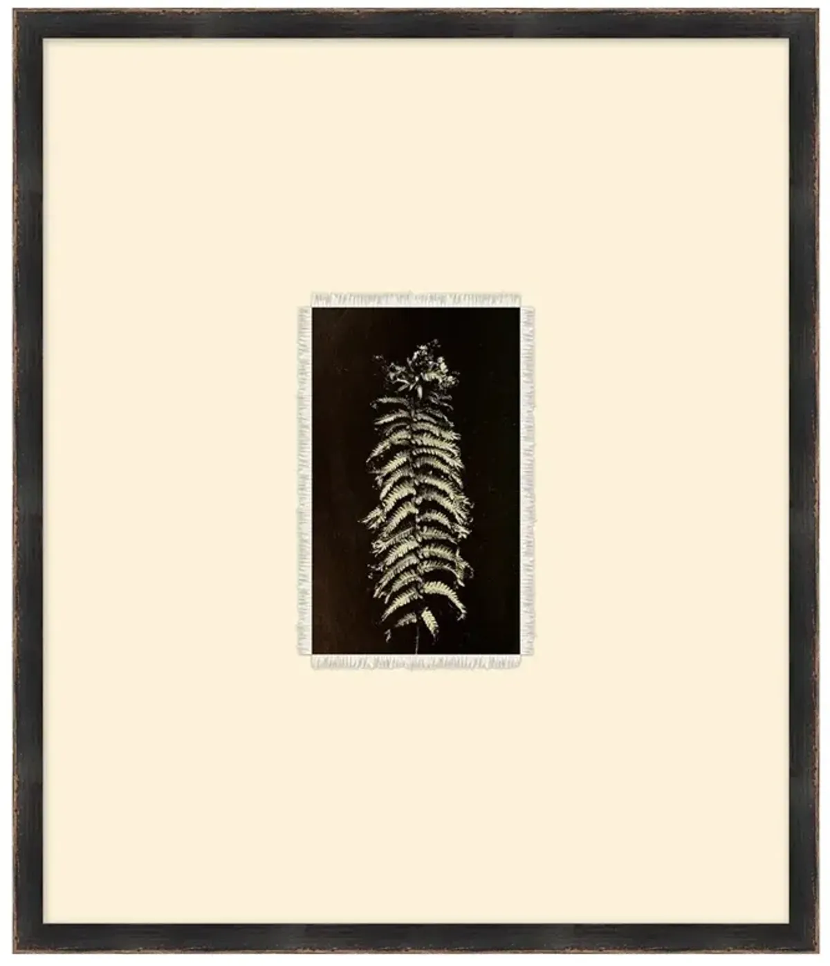 Mabel Traditional Black Fern Botanical Black Frame Painting 4 - 28x24