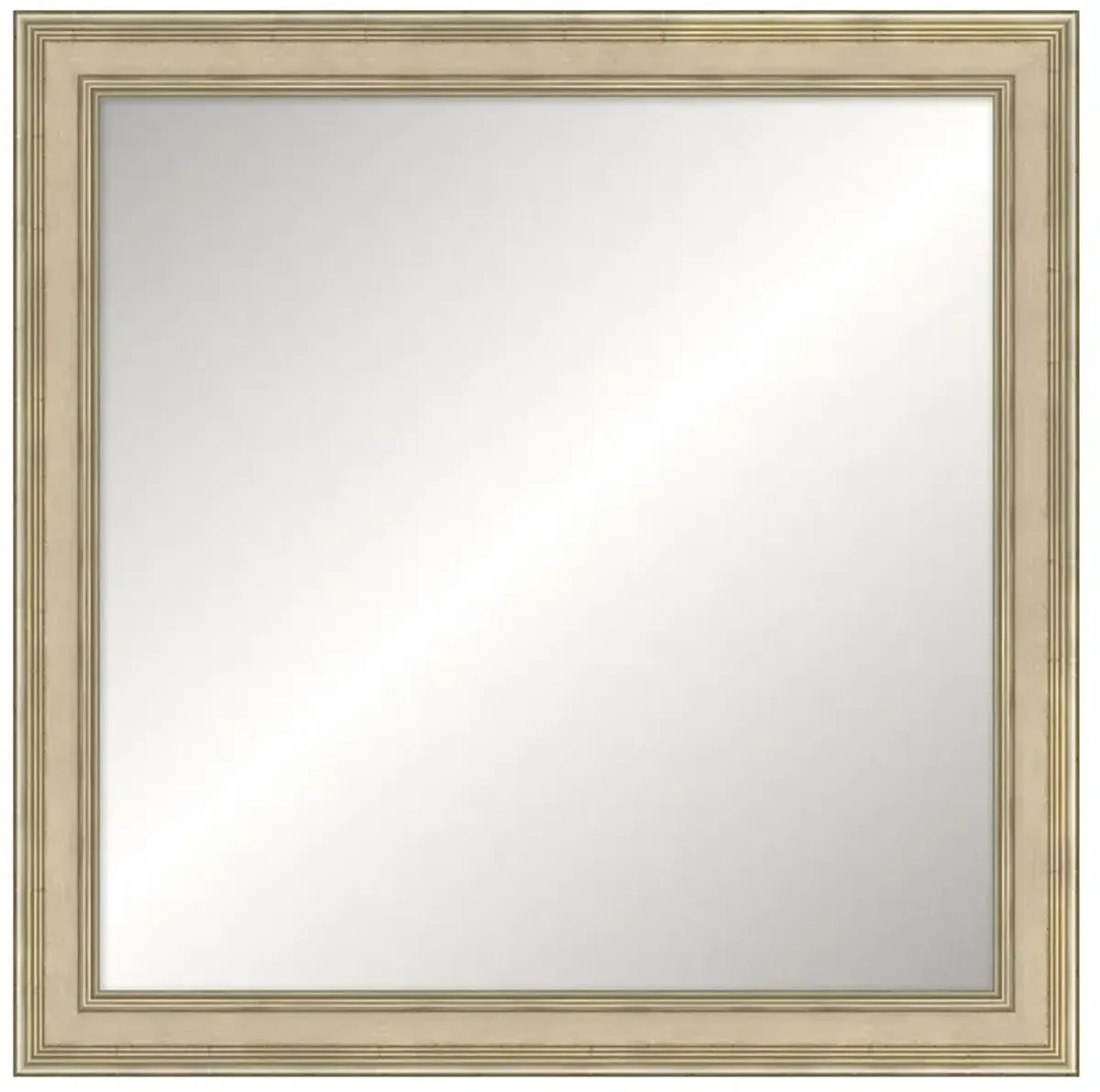 Dahlia Updated Traditional Silver Leaf Wood Square Wall Mirror - 26x26