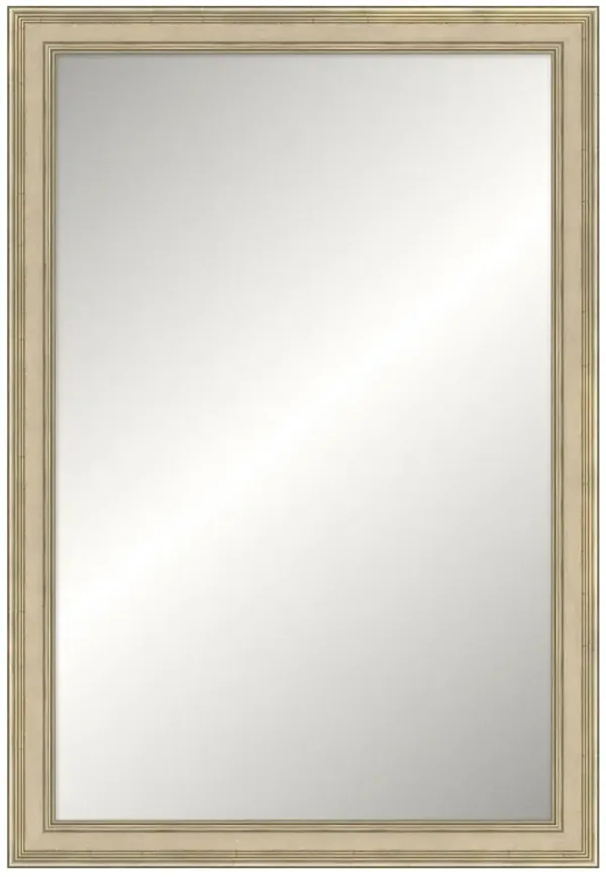 Dahlia Updated Traditional Silver Leaf Wood Rectangular Wall Mirror - 26x38