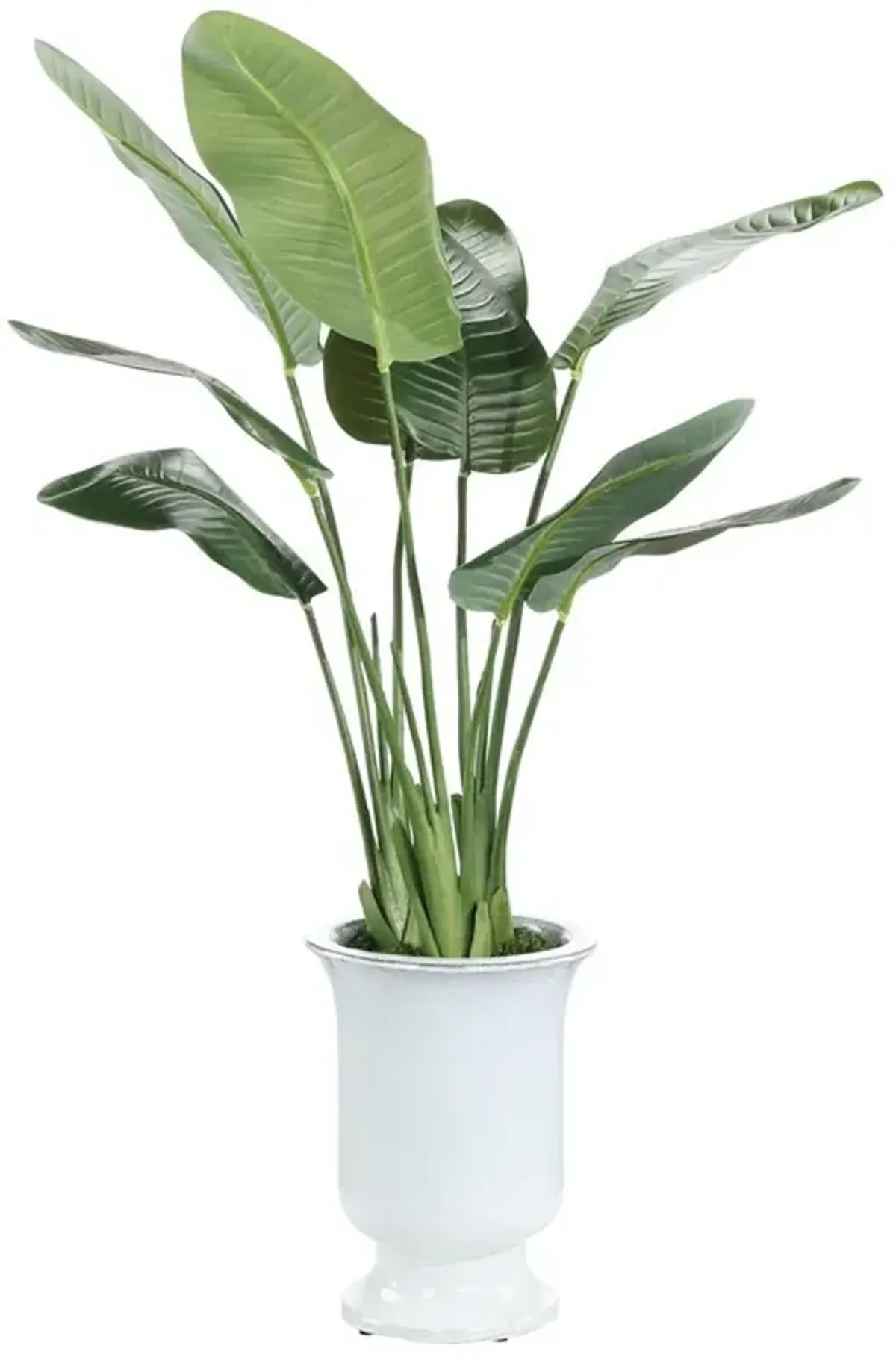 John-Richard Island French Country Green Bird Of Paradise Faux Floral Planter