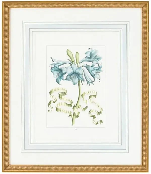 Boheme French Country Blue Floral Gold Frame Illustration