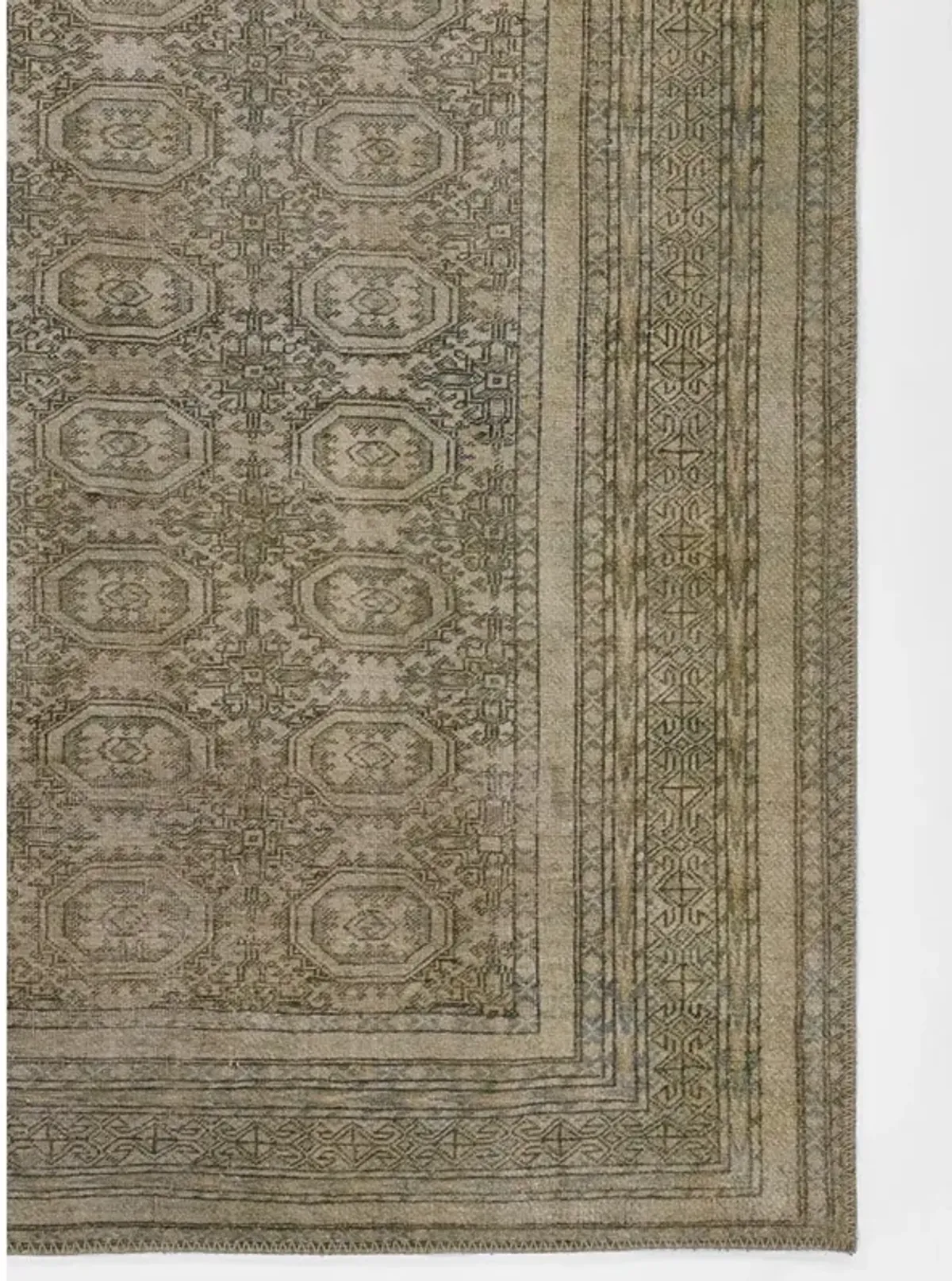 Galvin Updated Traditional Green Oriental Patterned Rug - 2'3"x7'6"
