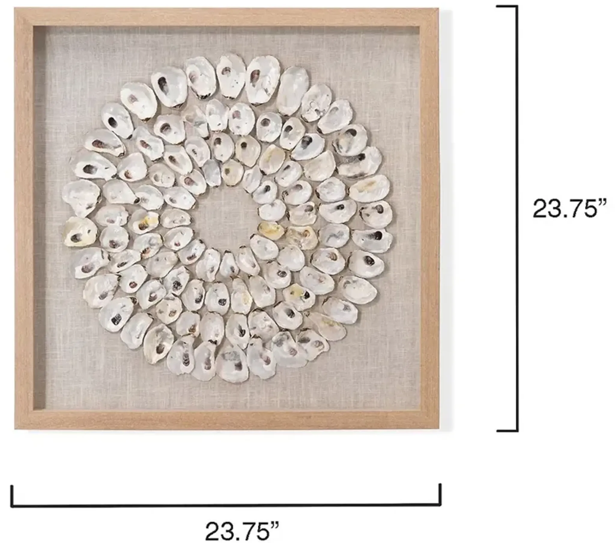 Damien Coastal Beach Circular White Abalone Shell Wall Art Kathy Kuo ...