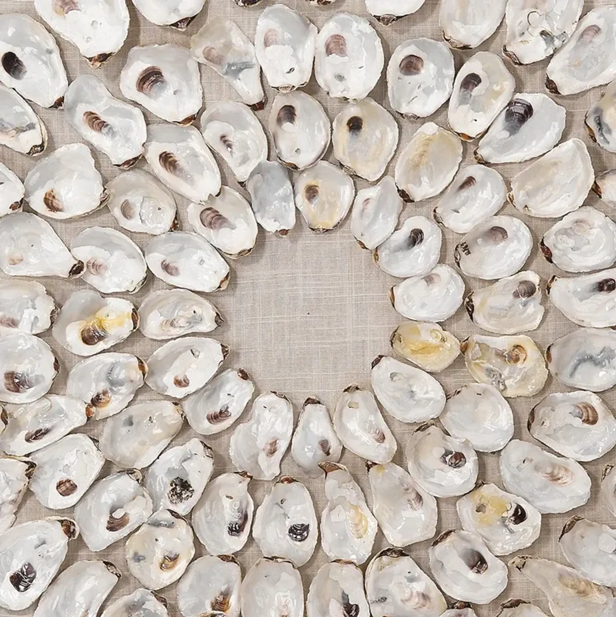 Damien Coastal Beach Circular White Abalone Shell Wall Art Kathy Kuo ...