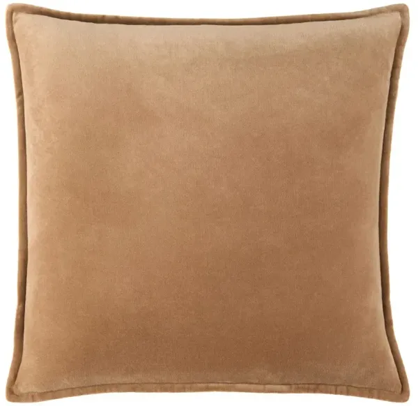 Anika Modern Classic Light Brown Velvet Flange Down Pillow - 22x22
