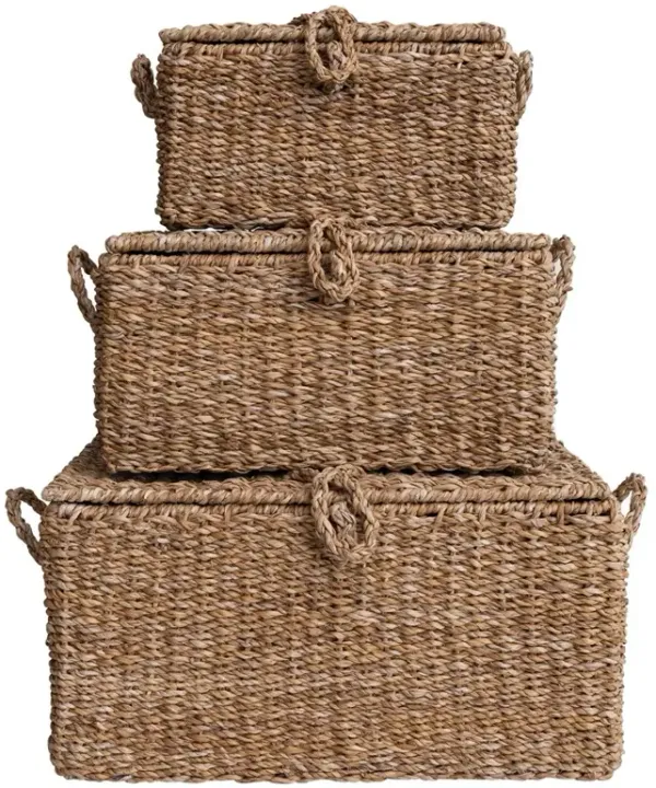 Maren Coastal Natural Woven Seagrass Decorative Basket - Set of 3