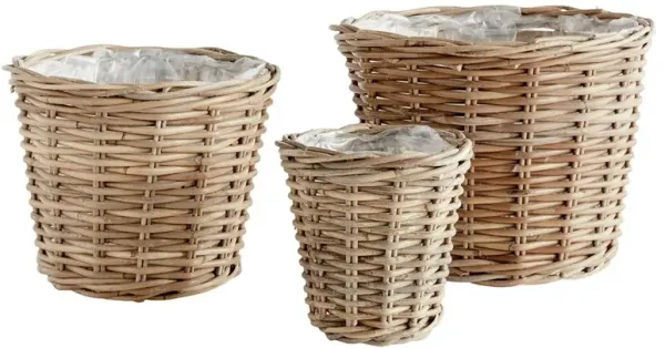 Norman Traditional Natural Woven Rattan Tapered Decorative Planter - Set of 3