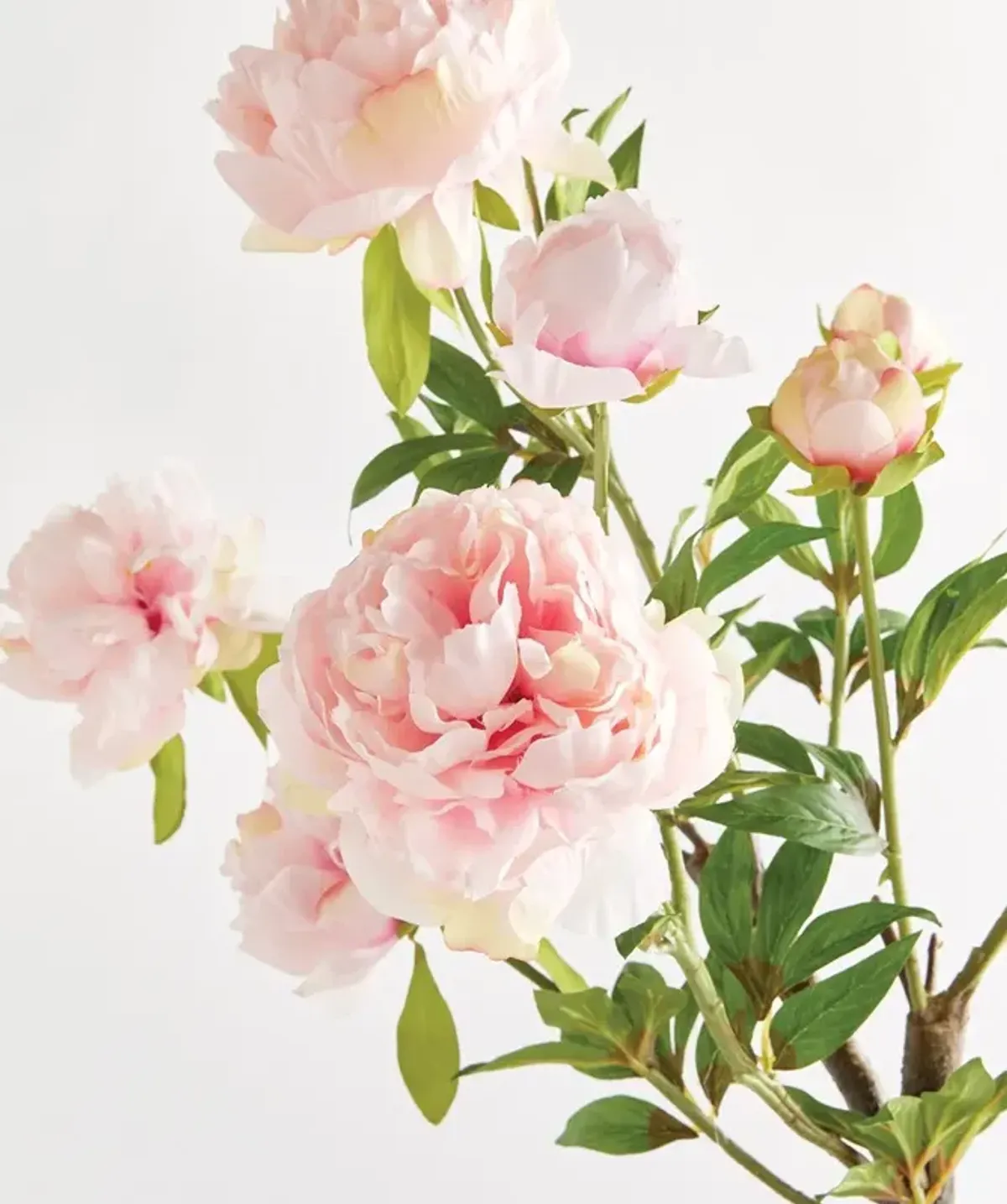 Elowyn Updated Traditional Light Pink Peony Branch Faux Floral