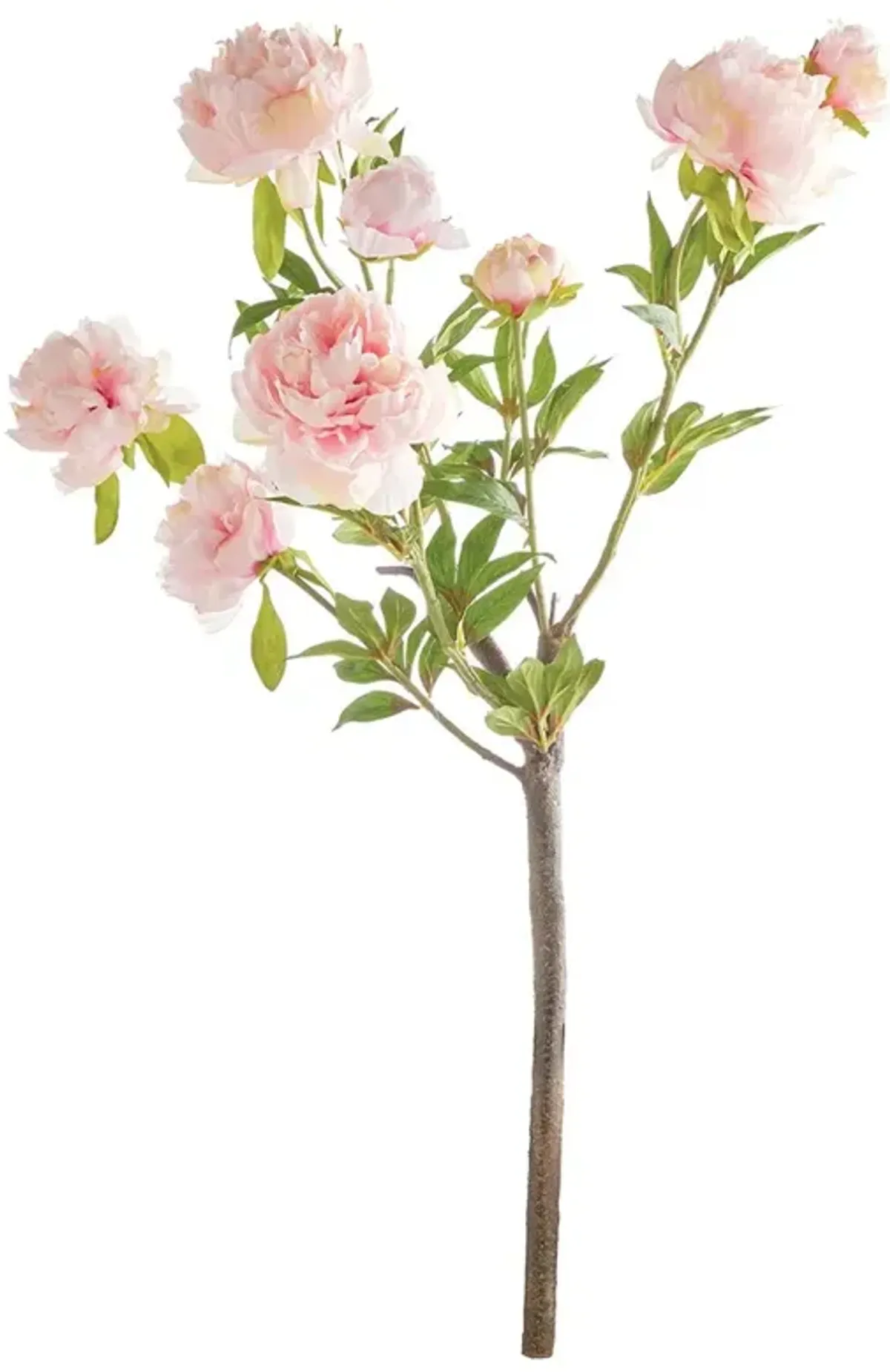 Elowyn Updated Traditional Light Pink Peony Branch Faux Floral