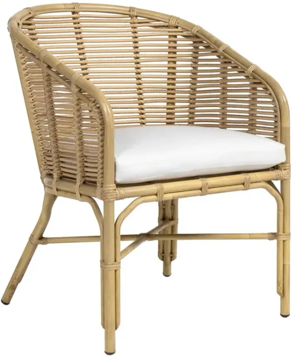 Palecek Camino Coastal Beach Natural Wicker Outdoor Arm Chair