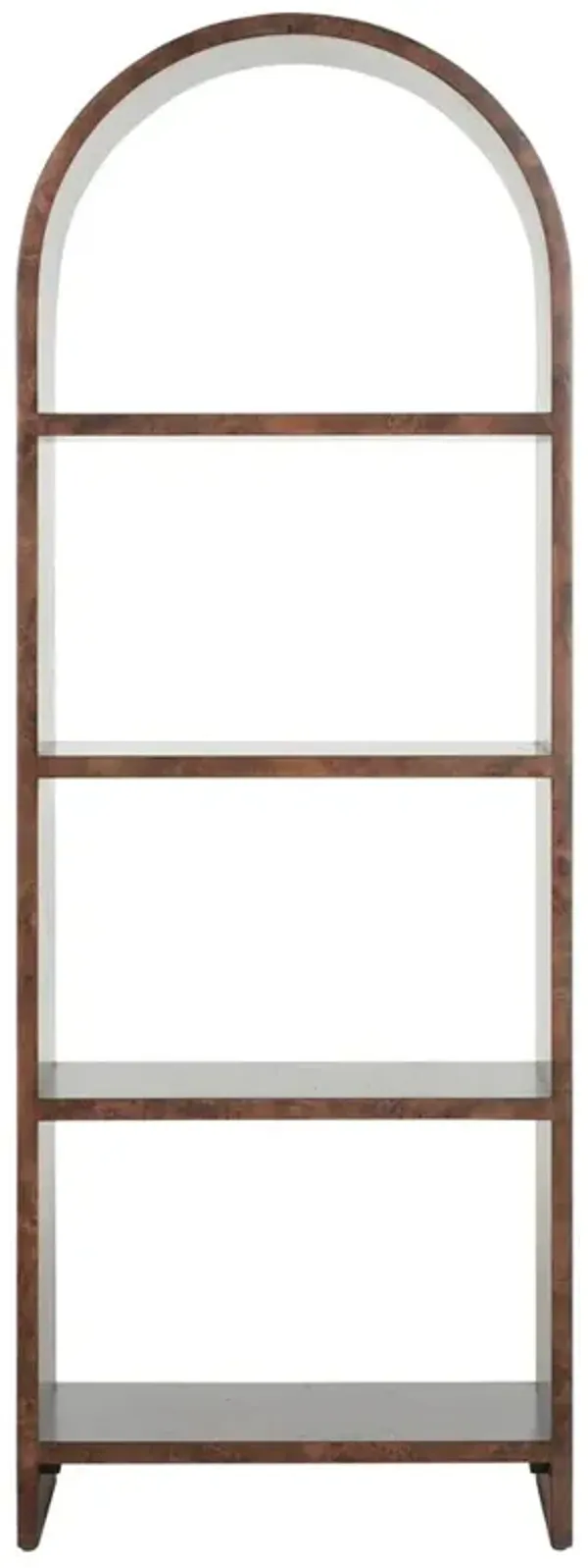 Liene Updated Traditional Brown Burl Arched Etagere