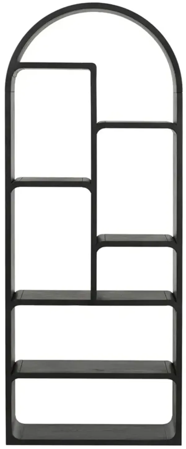 Rayna Modern Classic Black Oak Wood Arched Bookcase