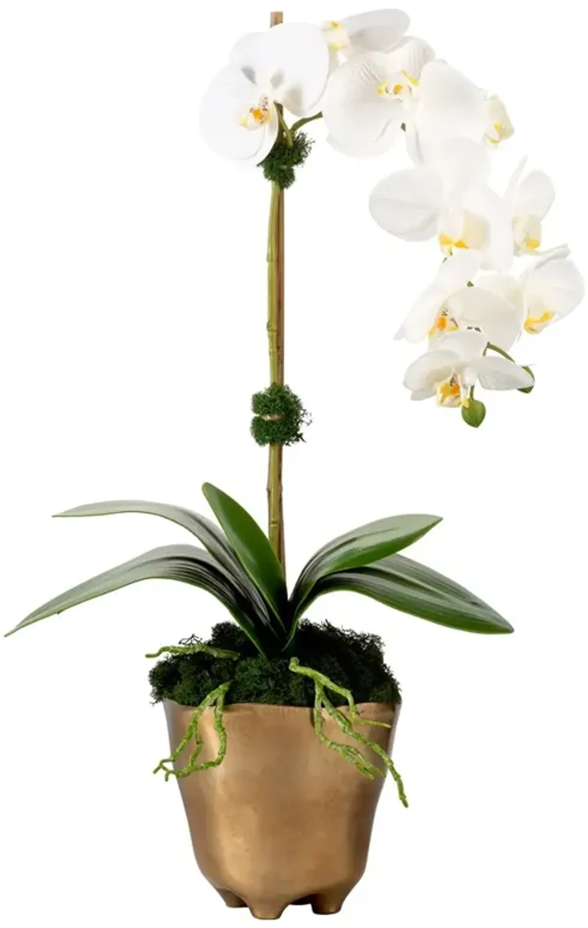Ariela  Updated Traditional White Orchid Gold Vase Faux Floral Arrangement