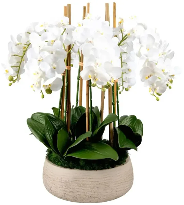 Bree Updated Traditional White Orchid Faux Floral Arrangement