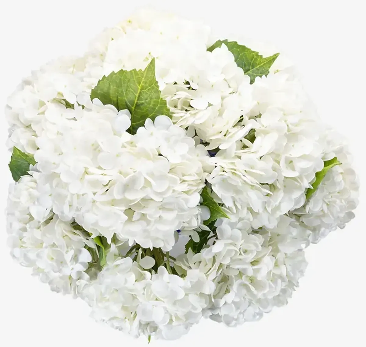 Tisdale Traditional White Hydrangea Toile Vase Faux Floral Arrangement