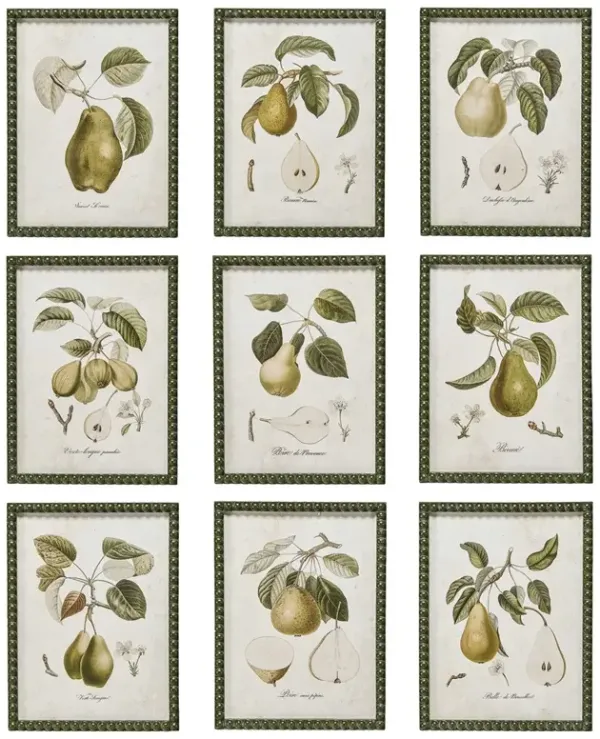 Mirabel Traditional Cream Pear Green Frame Multipanel Illustration - 16x12