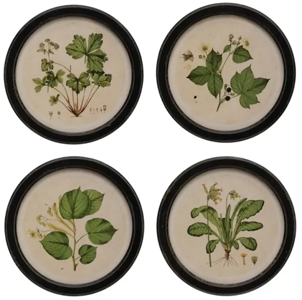 Anthea Traditional Green Botanical Black Frame Multipanel Illustration - 14x14