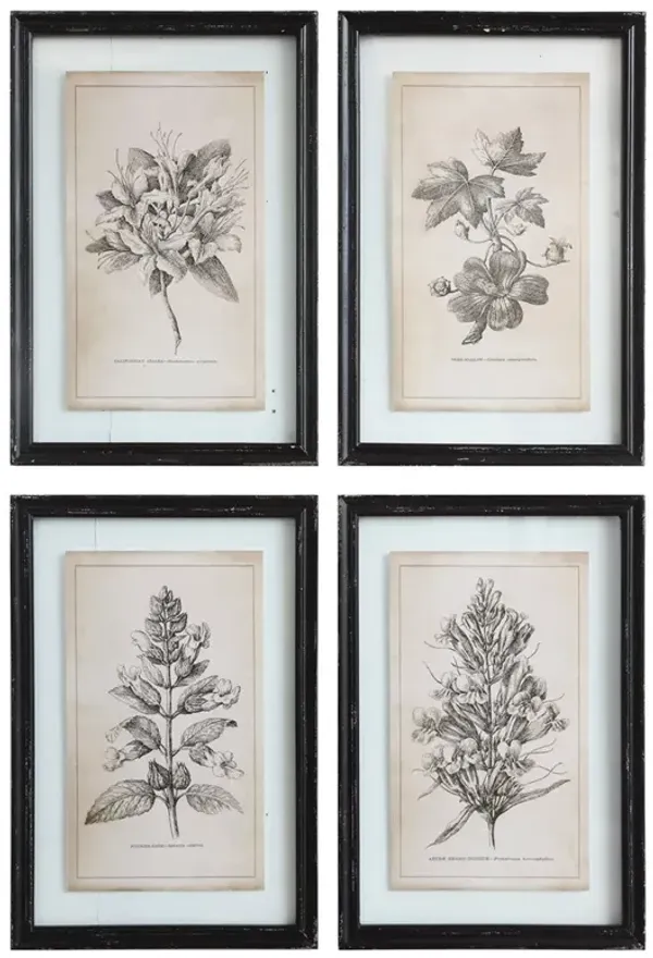 Cressida Traditional Grey Floral Black Frame Multipanel Illustration - 23x16