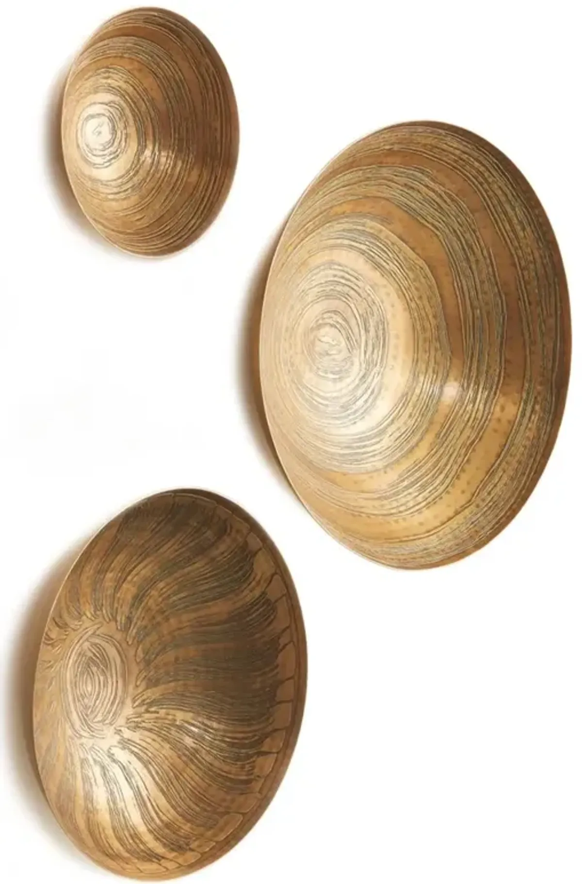 Cordelia Updated Traditional Antique Brass Bowl Wall Decor - Set of 3