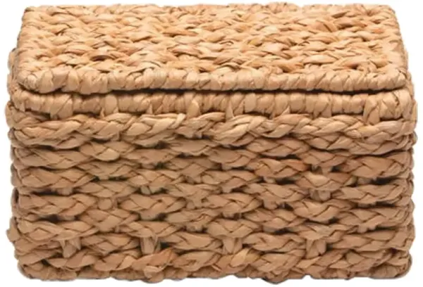 Pigeon and Poodle Destin Coastal Beach Natural Braided Seagrass Double Toilet Paper Holder