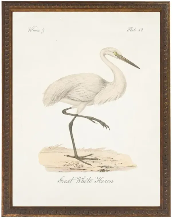 Cecilia Traditional White Heron Antique Gold Frame Painting - 24x18