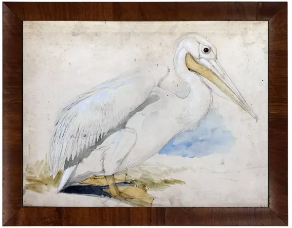 Soren Traditional White Pelican Brown Walnut Burl Frame Painting - 8x10