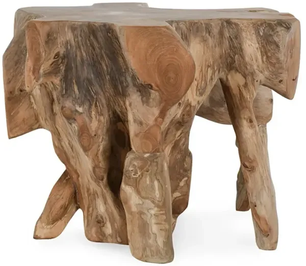 Prescy Coastal Beach Natural Brown Teak Wood Root End Table