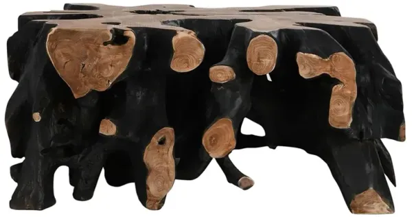 Prescy Coastal Beach Black Brown Teak Root Square Coffee Table