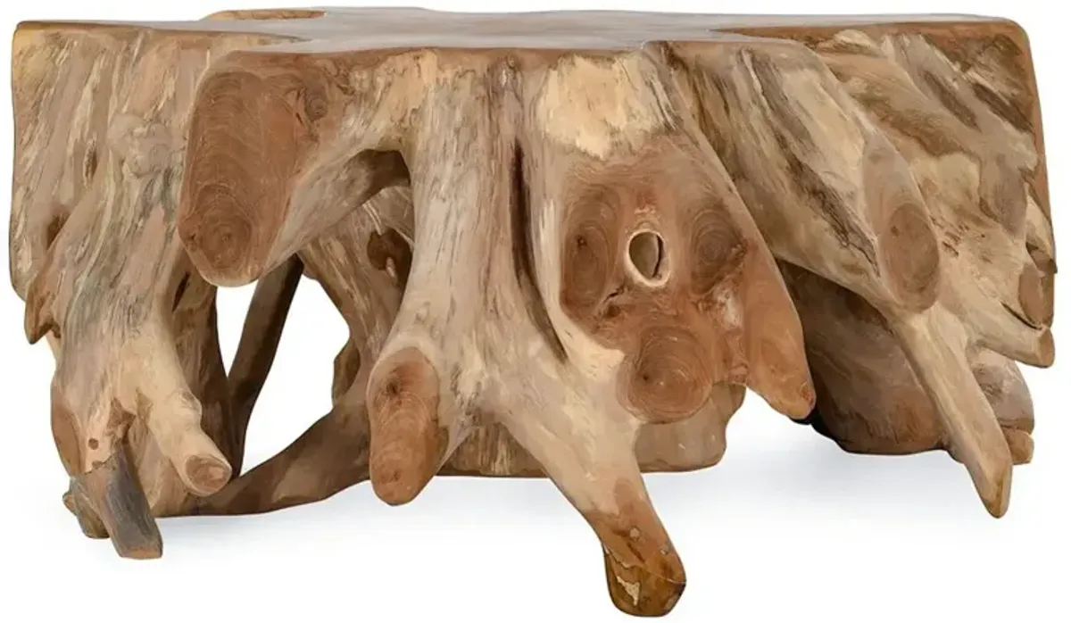 Prescy Coastal Beach Natural Brown Teak Wood Root Coffee Table