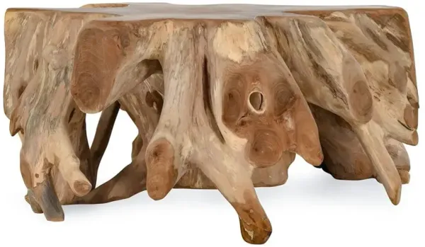 Prescy Coastal Beach Natural Brown Teak Wood Root Coffee Table
