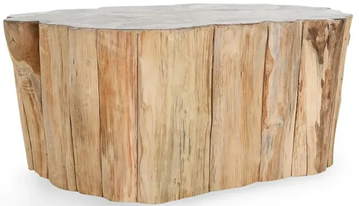 Nala Coastal Beach Petrified Teak Wood Coffee Table