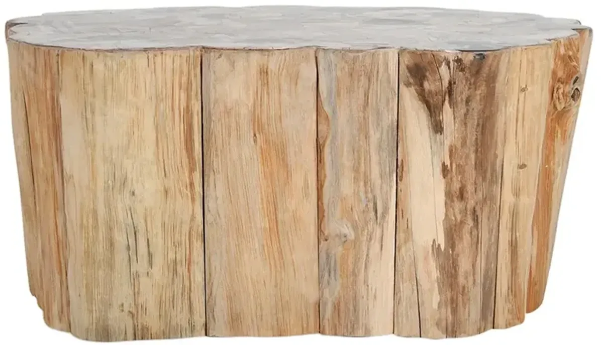 Nala Coastal Beach Petrified Teak Wood Coffee Table