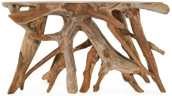 Prescy Coastal Beach Natural Brown Teak Wood Root Console Table - Small