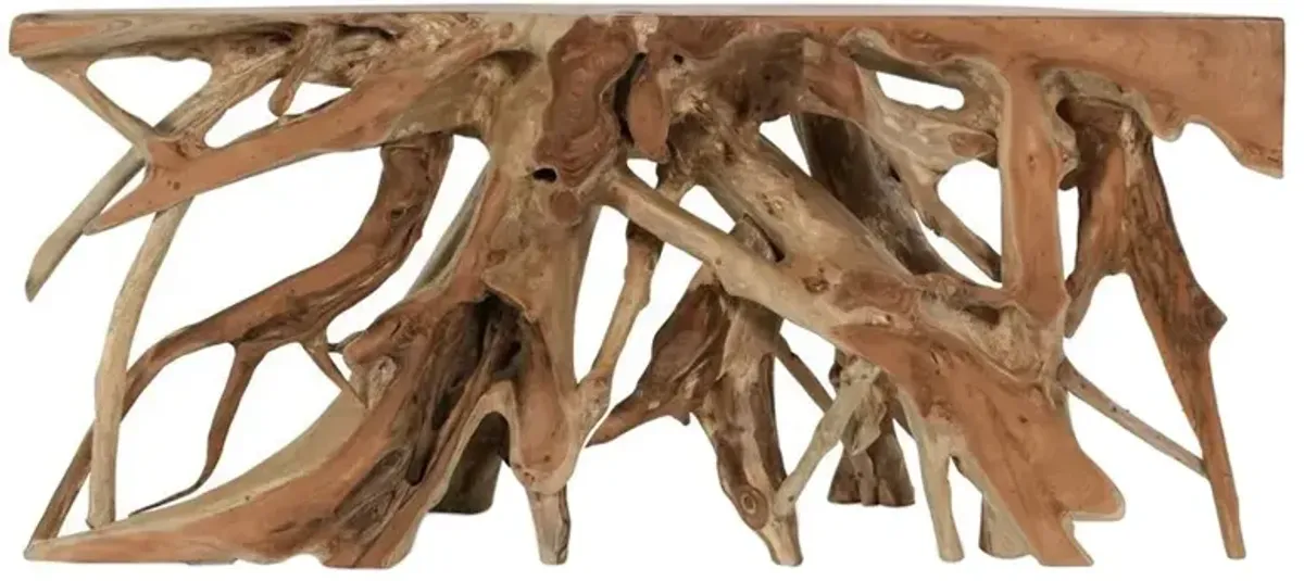 Prescy Coastal Beach Natural Brown Teak Wood Root Console Table - Large