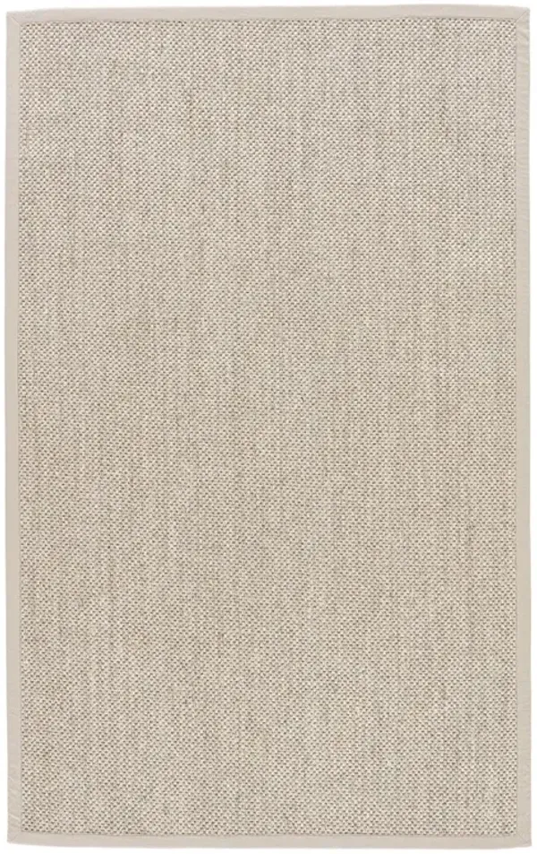 Neville Coastal Beach Beige Sisal Solid Border Rug - Sample