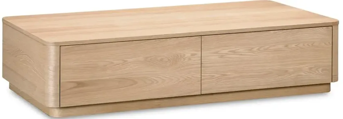 Rex Modern Classic Natural Oak Rectangular Storage Coffee Table