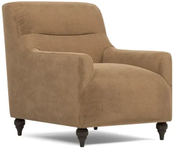 Gracelynn Mocha Mist Performance Velvet Chair